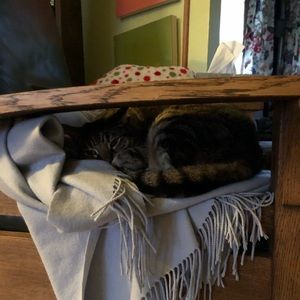 Meet your Posher, Alison